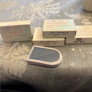 Mary Kay Twilight Duet Eye Color NIB